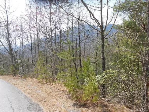 Marion, NC 28752,Lot 27 Linville DR