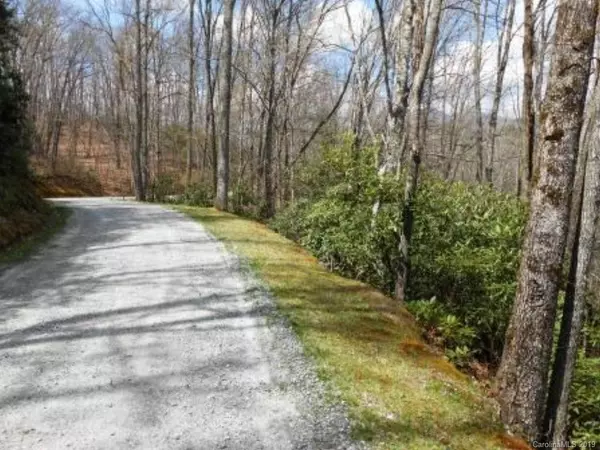 Tuckasegee, NC 28783,Lot #8 Forest View LN #8