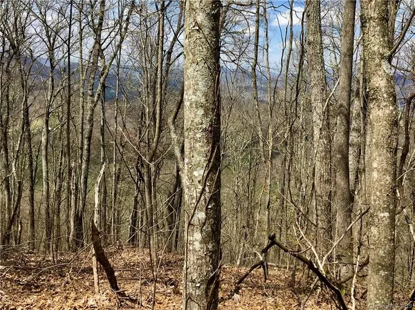 Waynesville, NC 28786,TBD Smokey Ridge LOOP