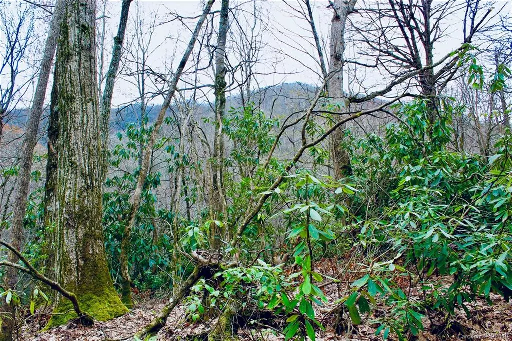 Maggie Valley, NC 28751,Lot #27 Huckleberry DR