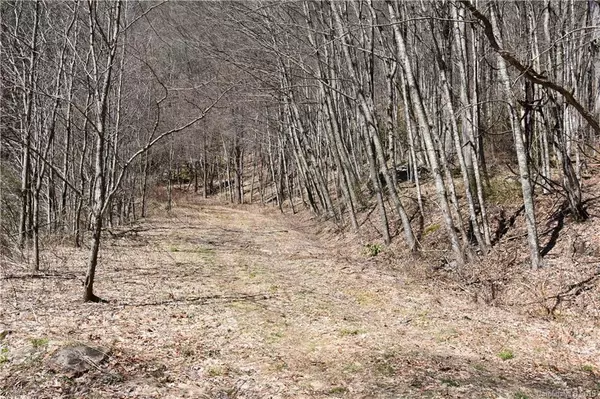 12 Sheepback RD #12, Maggie Valley, NC 28751