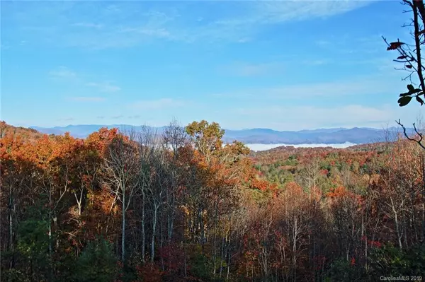 40 Falls View DR #Lot 40, Pisgah Forest, NC 28768