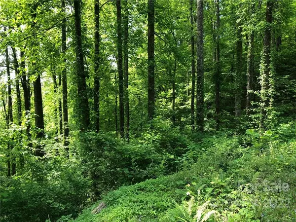 Hendersonville, NC 28792,Lot #35 Laurel Creek DR