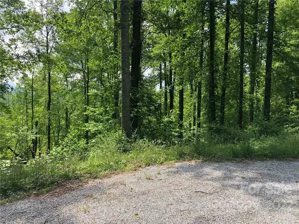 Hendersonville, NC 28792,Lot #35 Laurel Creek DR