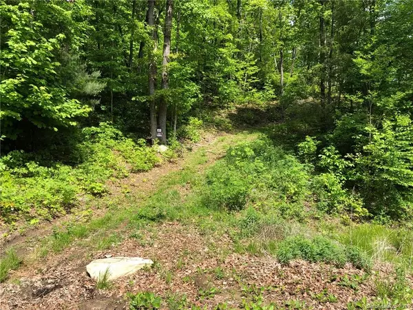 Hendersonville, NC 28792,Lot #67 Marshall Ridge RD