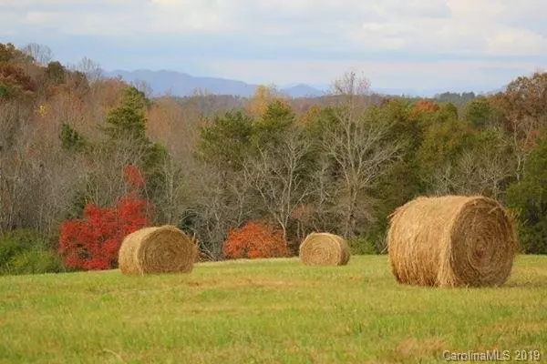 Forest City, NC 28043,00 Burl Bridges RD