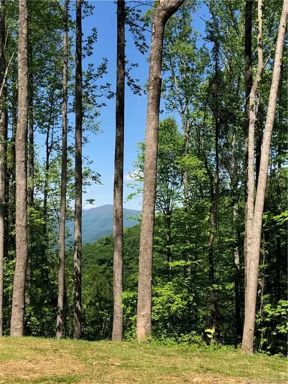 Swannanoa, NC 28778,1411 Easy Wind DR #Lot 54