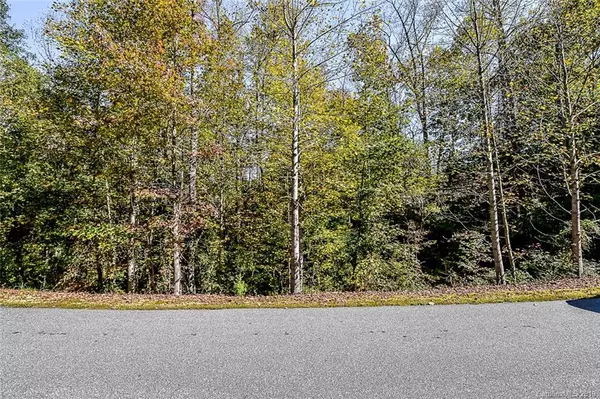 Catawba, NC 28609,7713 Long Bay Pkwy #Lot 33