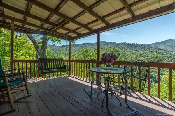 Maggie Valley, NC 28751,1667 Plott Balsam RD