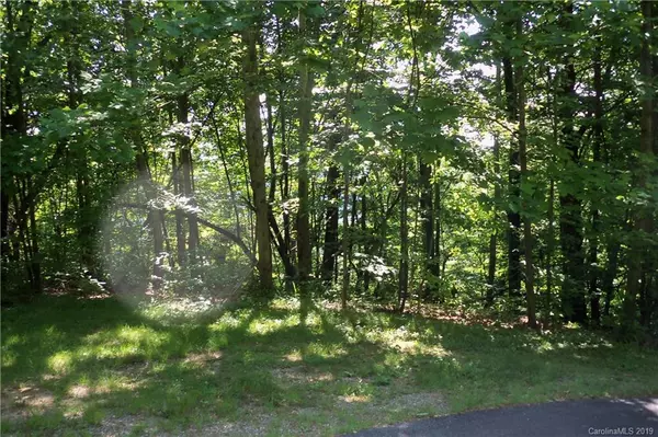 Waynesville, NC 28785,Lot 509 Multiflora WAY