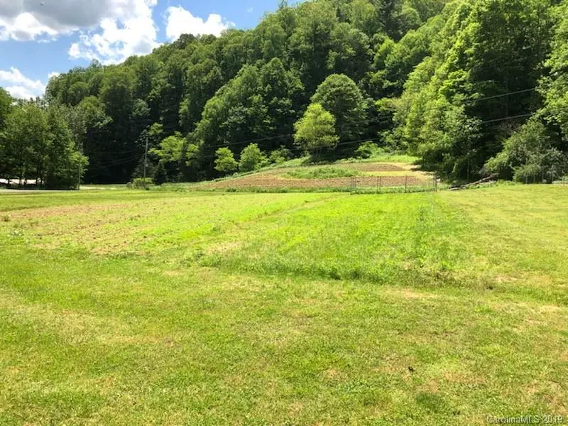 Green Mountain, NC 28740,3653 Pigeon Roost RD