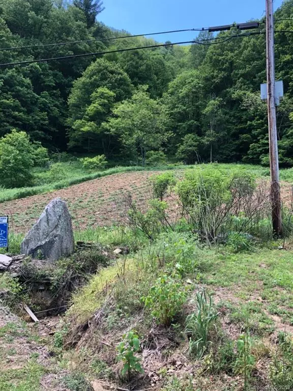 Green Mountain, NC 28740,3653 Pigeon Roost RD