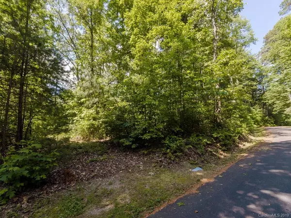 97 Oleta Falls PATH, Hendersonville, NC 28792