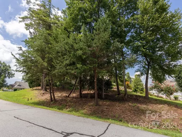 Hendersonville, NC 28791,LOT 2446 R Ashefield CT