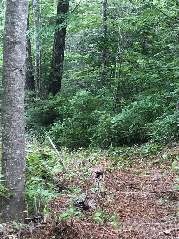 Lake Toxaway, NC 28747,MR 26 Meadow Ridge RD #26