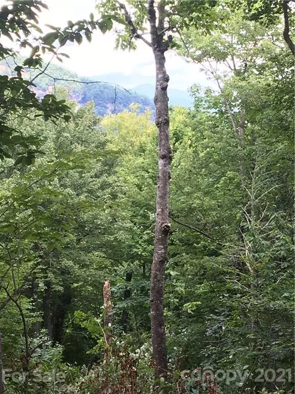 Lake Toxaway, NC 28747,MR 26 Meadow Ridge RD #26