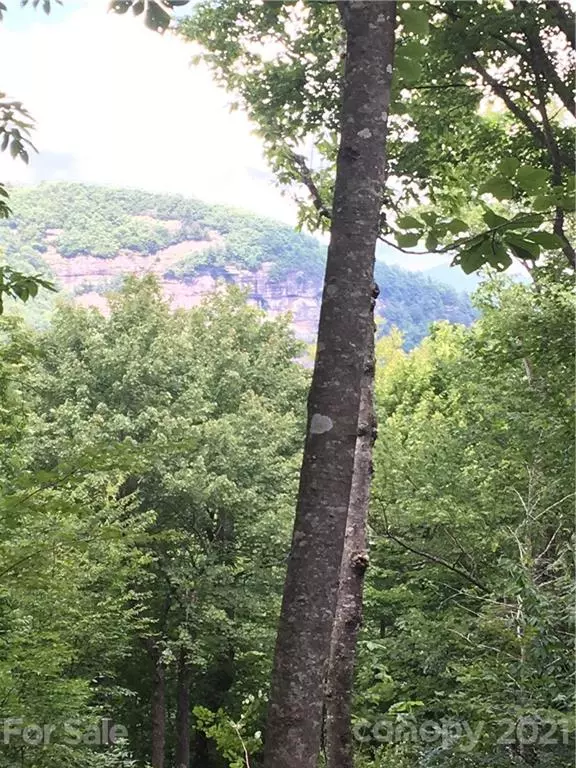 MR 26 Meadow Ridge RD #26, Lake Toxaway, NC 28747