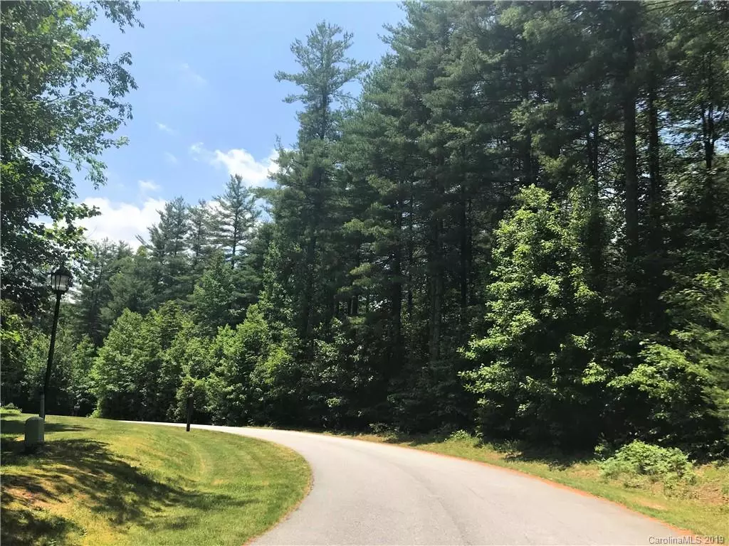 Hendersonville, NC 28739,lot13 Daylily DR #13