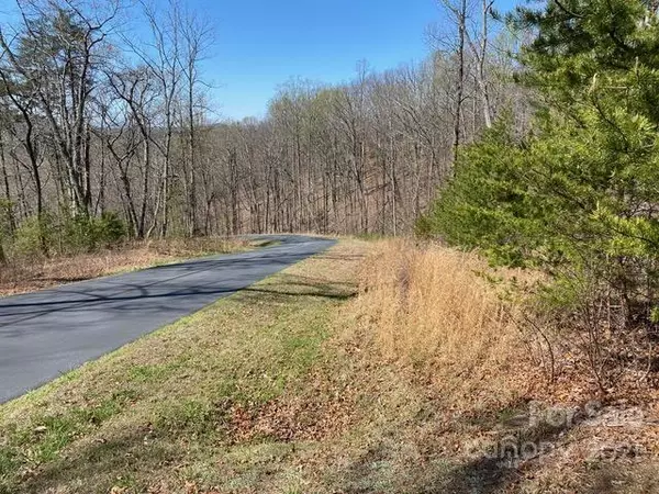 Nebo, NC 28761,Lot 302 Mountain Brook TRL