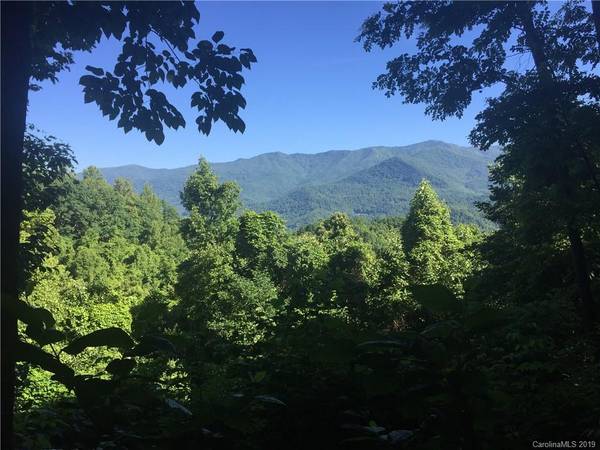 0029 High Line RD #29, Sylva, NC 28779