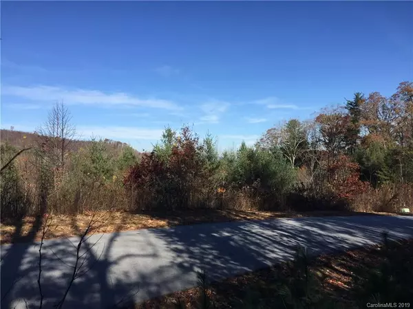 Hendersonville, NC 28739,111 Horse Shoe Ridge TRL #111