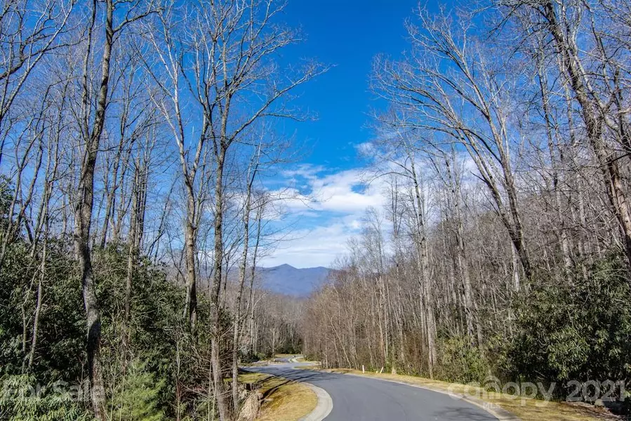 52 Settings BLVD #142, Black Mountain, NC 28711