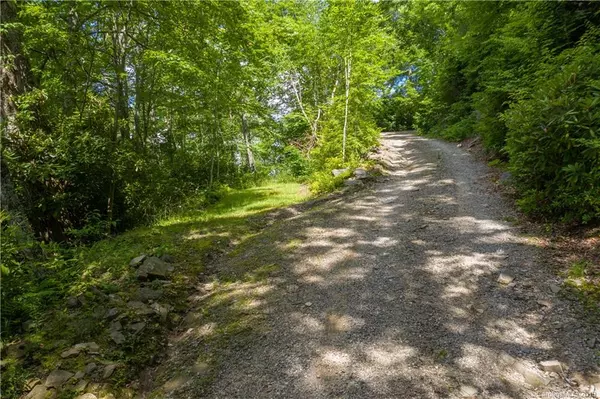 Maggie Valley, NC 28751,Lot F Picnic Gap RD