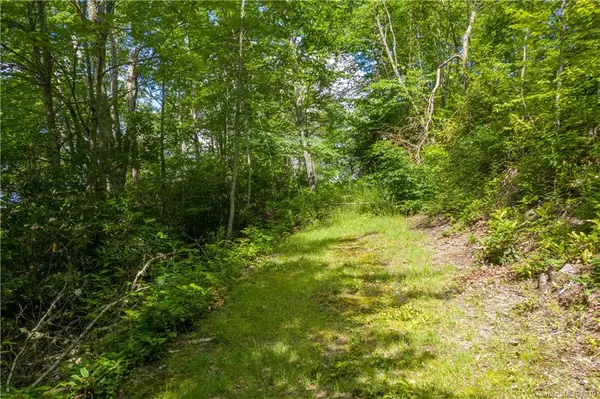 Maggie Valley, NC 28751,Lot F Picnic Gap RD