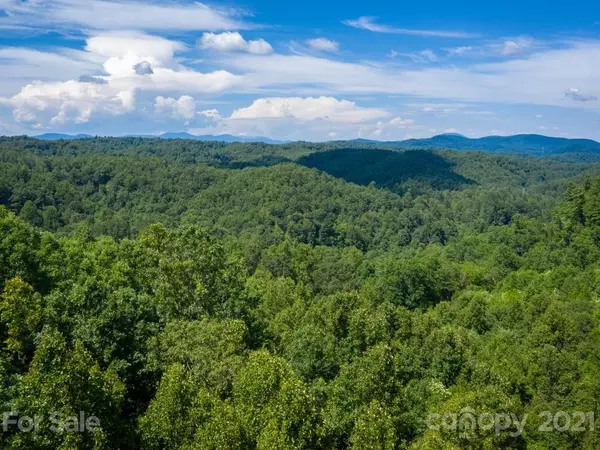 Saluda, NC 28773,00 Camp Creek RD