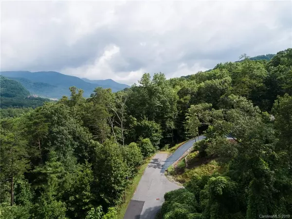 Black Mountain, NC 28711,99999 Stonecrest Mountain DR #10