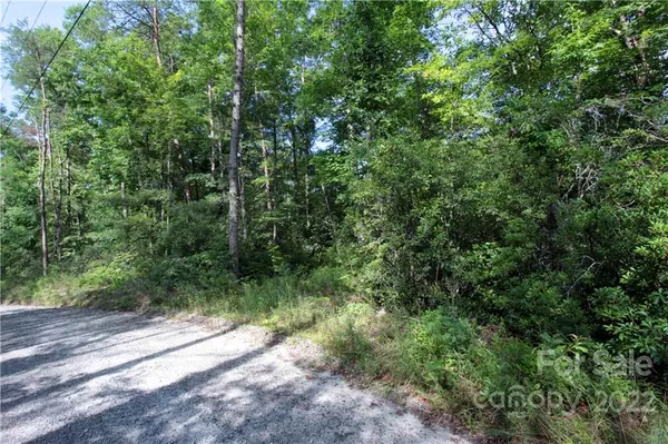 Brevard, NC 28712,Lot 19 Gastons Bee Gum RD #19