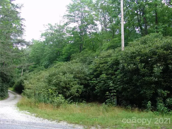 Lake Toxaway, NC 28747,TBD Slick Fisher RD