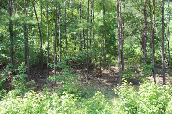 Tryon, NC 28722,000 Renard RD #10