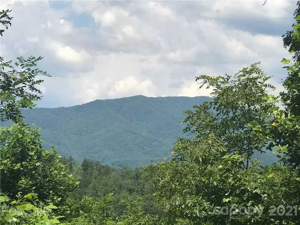 Whittier, NC 28789,Lot 2 Fiddlers Mountain RD #2