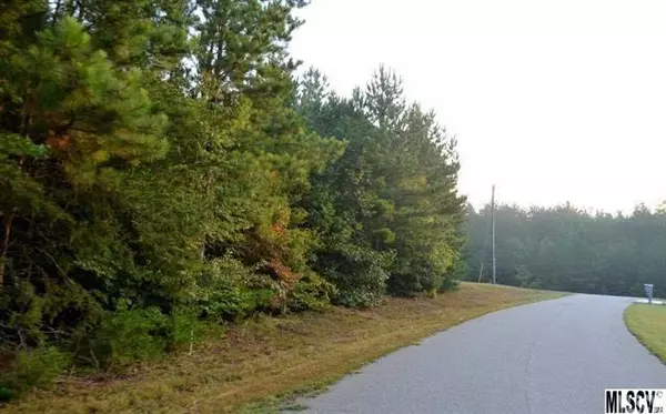 Taylorsville, NC 28681,Lot 52 Bible Camp LN #52