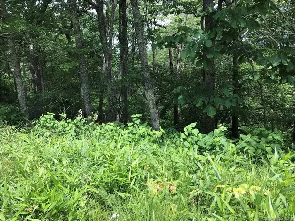 0000 Broken Arrow TRL #C24, Boone, NC 28607