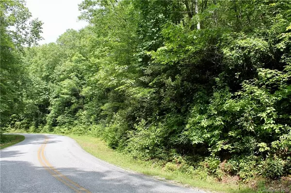 Lake Toxaway, NC 28747,OFF Slick Fisher RD
