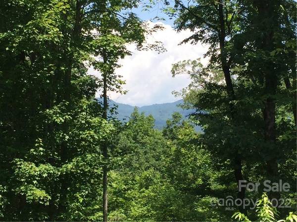 Rutherfordton, NC 28139,TBD Mountain Creek RD