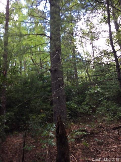 Brevard, NC 28712,000 Rich Mountain RD