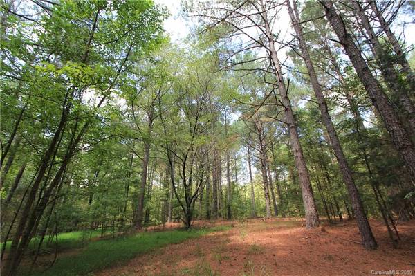 45.49ac Marion Lee RD, Monroe, NC 28112