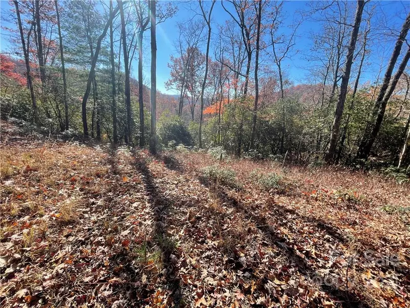 Lot 132 Green Hollow LN, Brevard, NC 28712