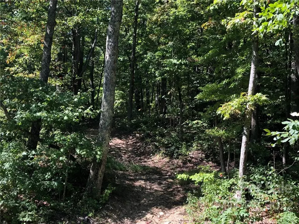 Hendersonville, NC 28792,Lot #69 and 69A Marshall Ridge RD