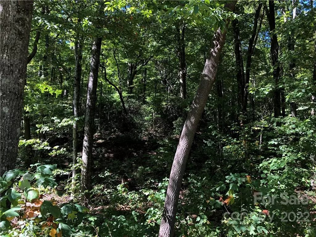 Hendersonville, NC 28792,Lot #70 Marshall Ridge RD