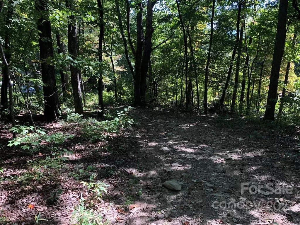 Hendersonville, NC 28792,Lot #71 Marshall Ridge RD