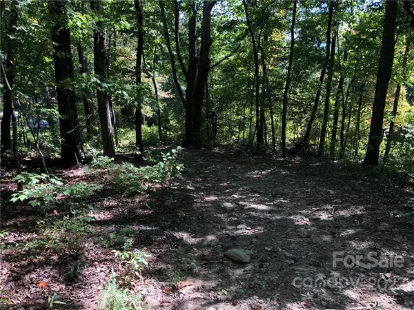 Lot #71 Marshall Ridge RD, Hendersonville, NC 28792