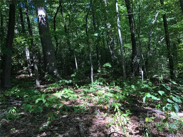 Lot #72 Marshall Ridge RD, Hendersonville, NC 28792