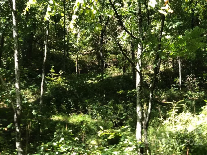 Lot #74 Marshall Ridge RD, Hendersonville, NC 28792