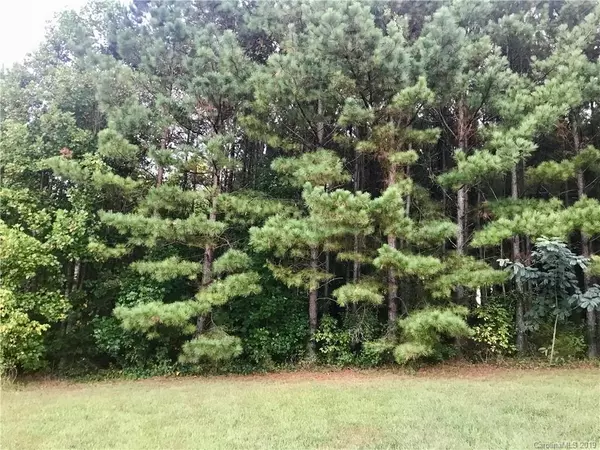 Tract 4 Robinson TRL, Vale, NC 28168