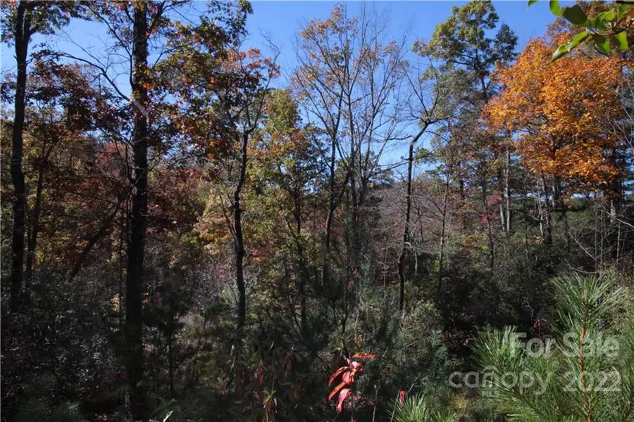 Lot 9 Kelly Mountain RD #9, Brevard, NC 28712