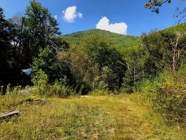 98 Haystack TRL, Maggie Valley, NC 28751